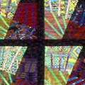 Through the Windows of My Mind 