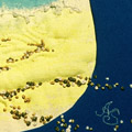 Beachscape