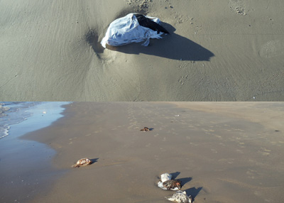 chook offerings - basic, bagged