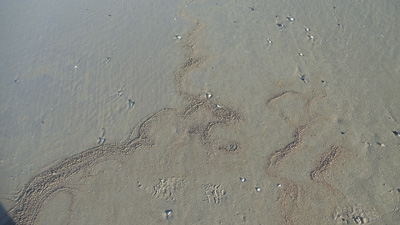 foam tracks